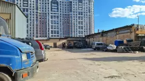 Фотография Профессионал 3